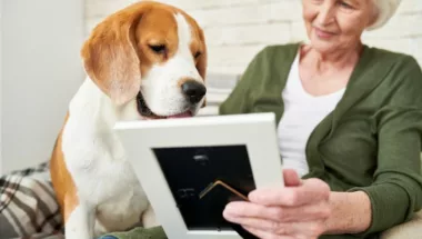 grandma showing picture to a dog